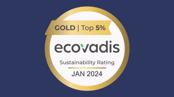 Logo Ecovadis